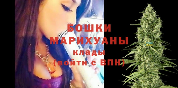 винт Верея