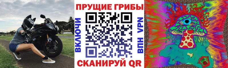 Галлюциногенные грибы прущие грибы  блэк спрут сайт  Геленджик 